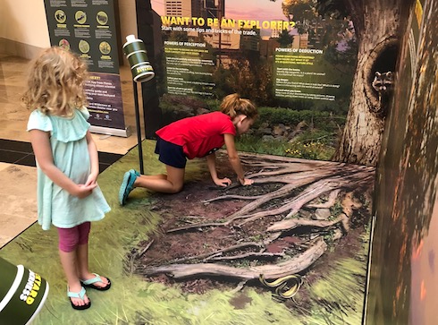 Backyard Wilderness Interactive Display