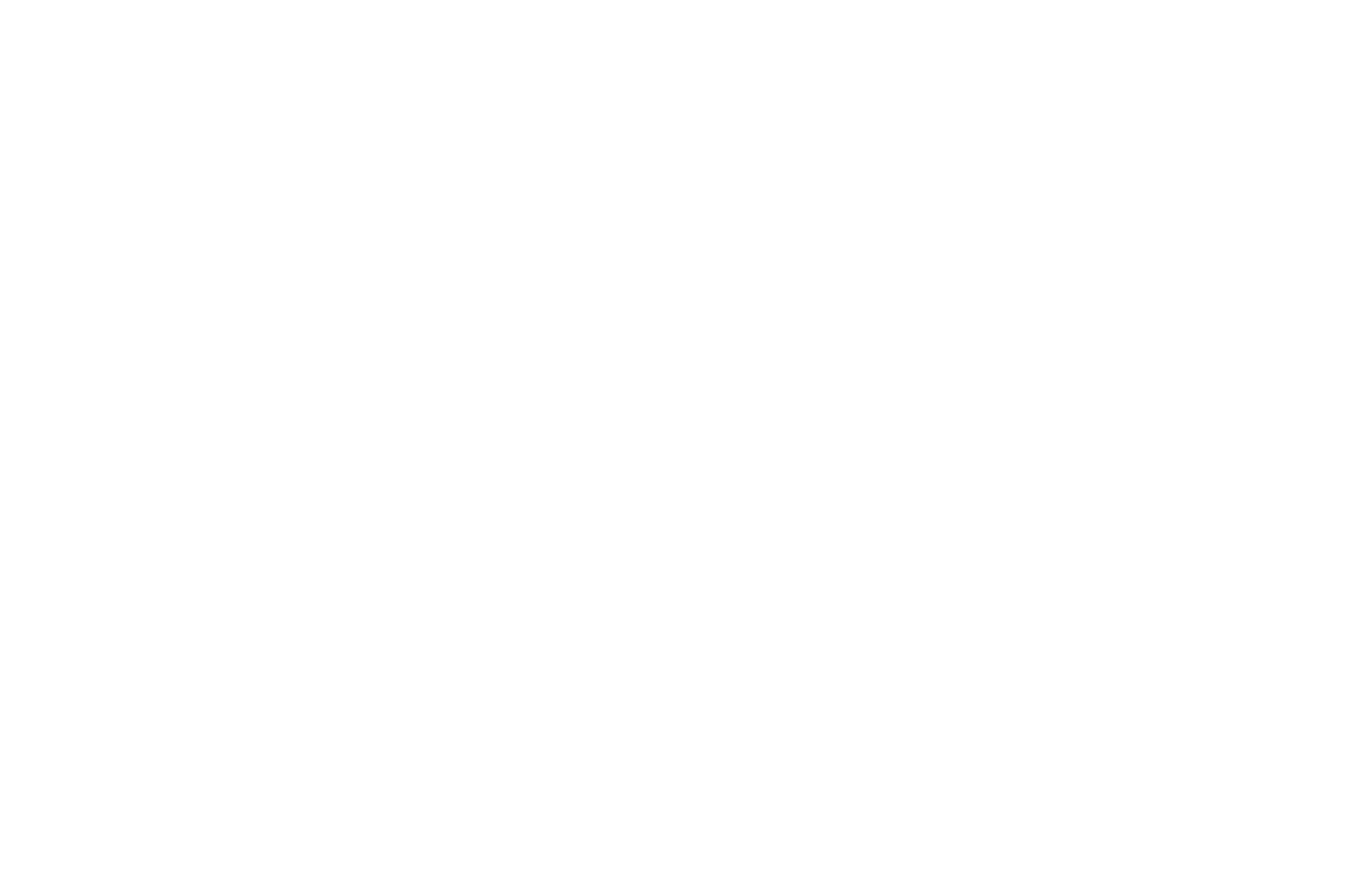 Twin Cities Film Festival