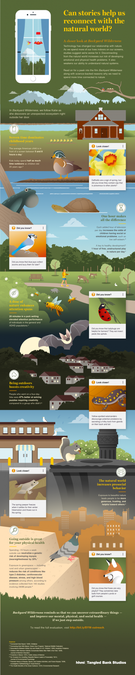 Backyard Wilderness - Full Infographic