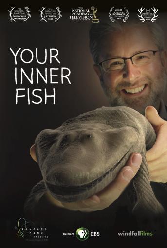 Your Inner Fish