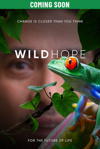 Wild Hope Poster