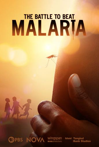 Battle to Beat Malaria Poster