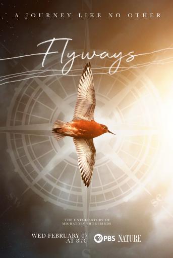 Flyways Poster