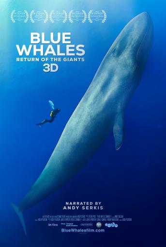 Film Poster