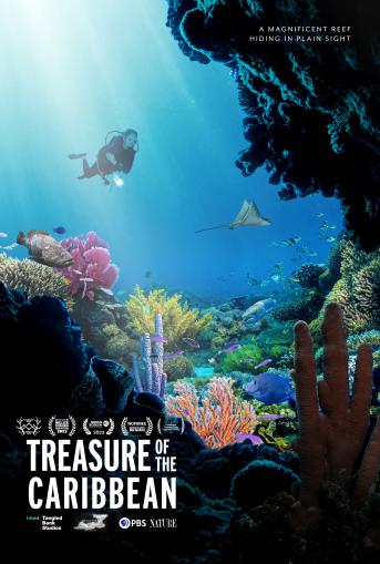 Film Poster