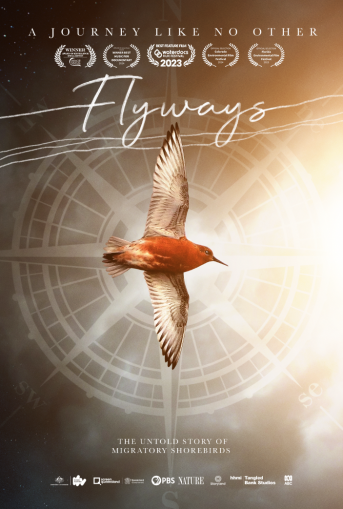 Film Poster