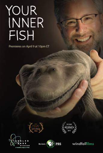 Your Inner Fish Poster