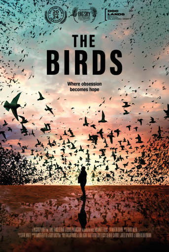 Film Poster