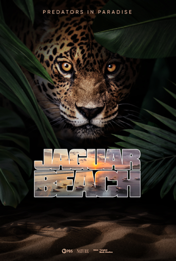 Jaguar Beach Film Poster