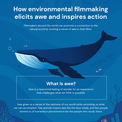 thumbnail image for blue whales evaluation report