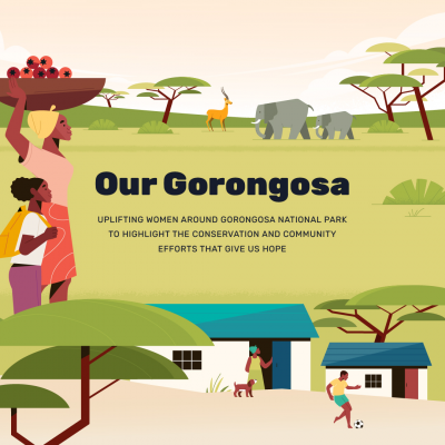 an animated landscape and residence near Gorongosa National park